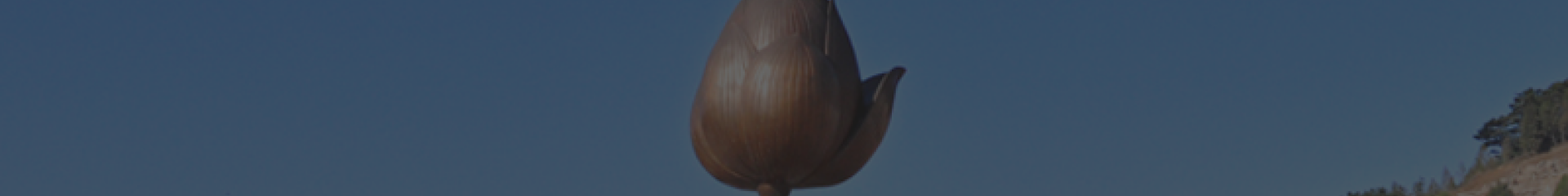 通惠陵园官网顶部背景图