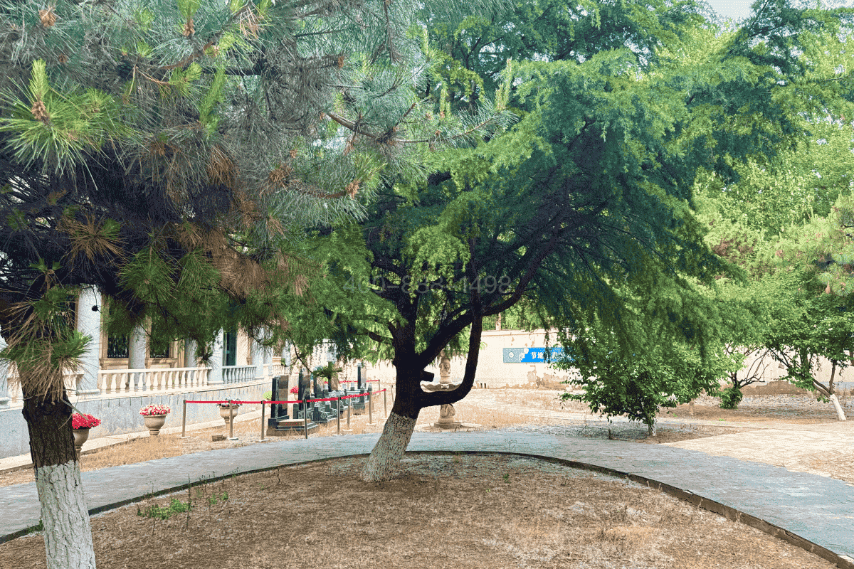 通惠陵园官网墓区环境图